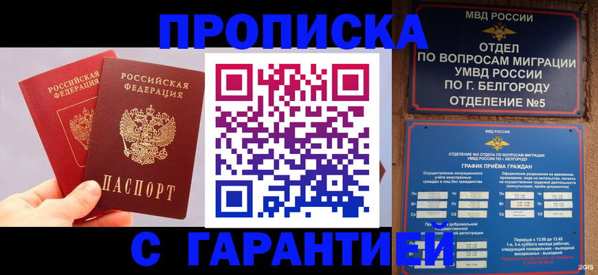 прописка 2025 в Шилке